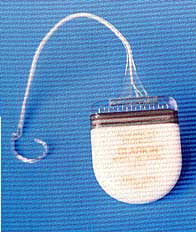 implant-16 electrodes.jpg (9390 octets)